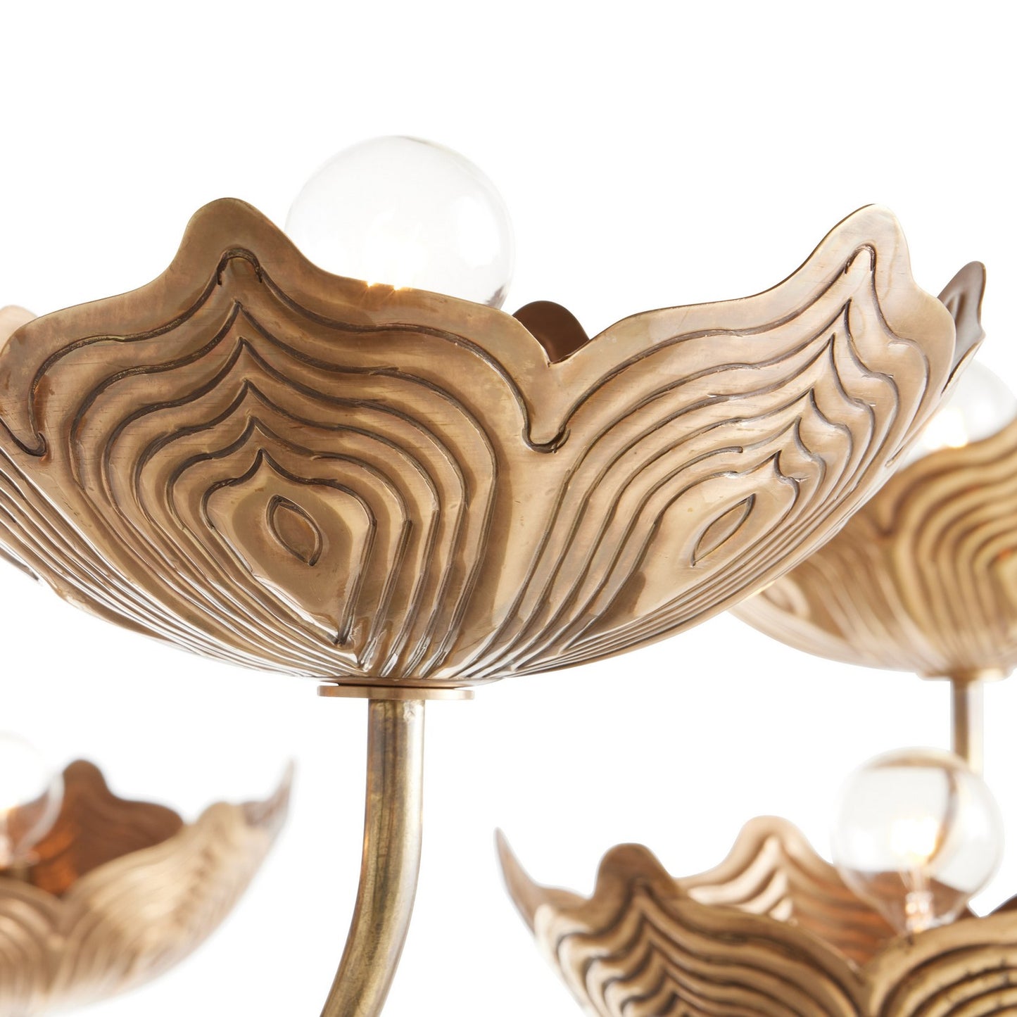Arteriors-DLI06|ALT|3