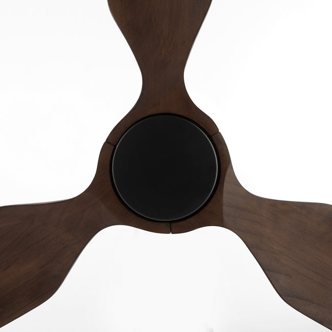 Quorum-39563-59|ALT|4
