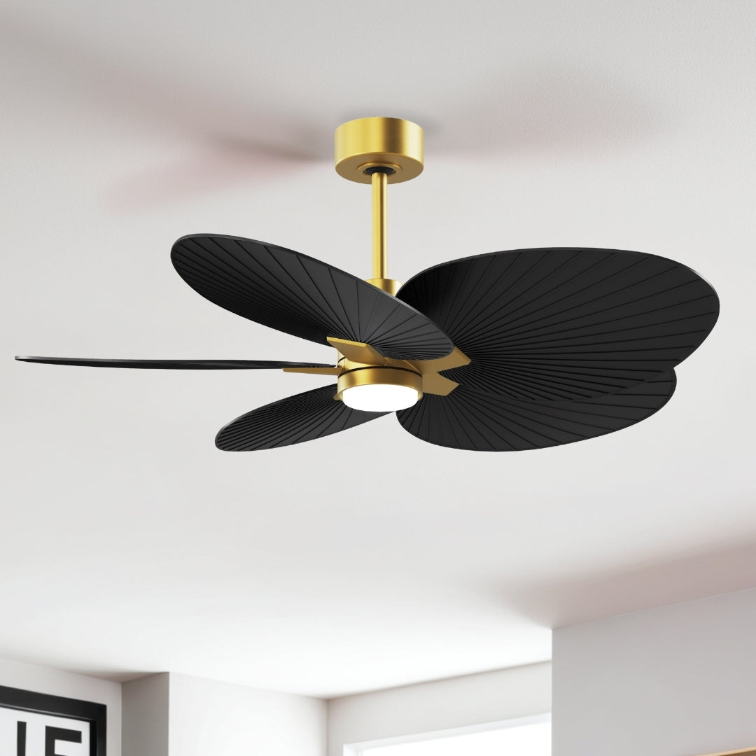 Matthews Fan Company-AKTPLK-BRBR-BK|ALT|4