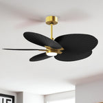 Matthews Fan Company-AKTPLK-BRBR-BK|ALT|4