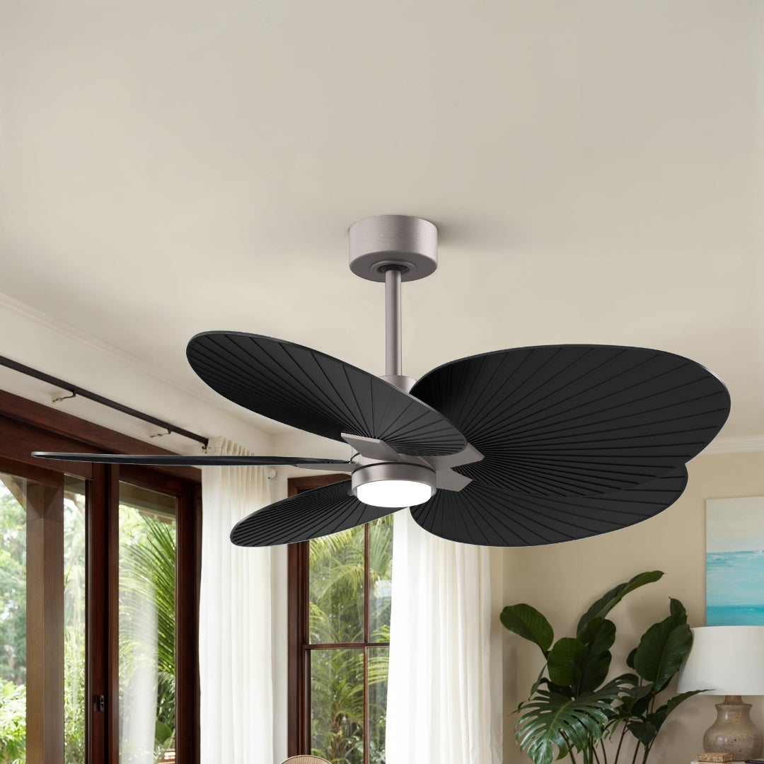 Matthews Fan Company-AKTPLK-BN-BK|ALT|4