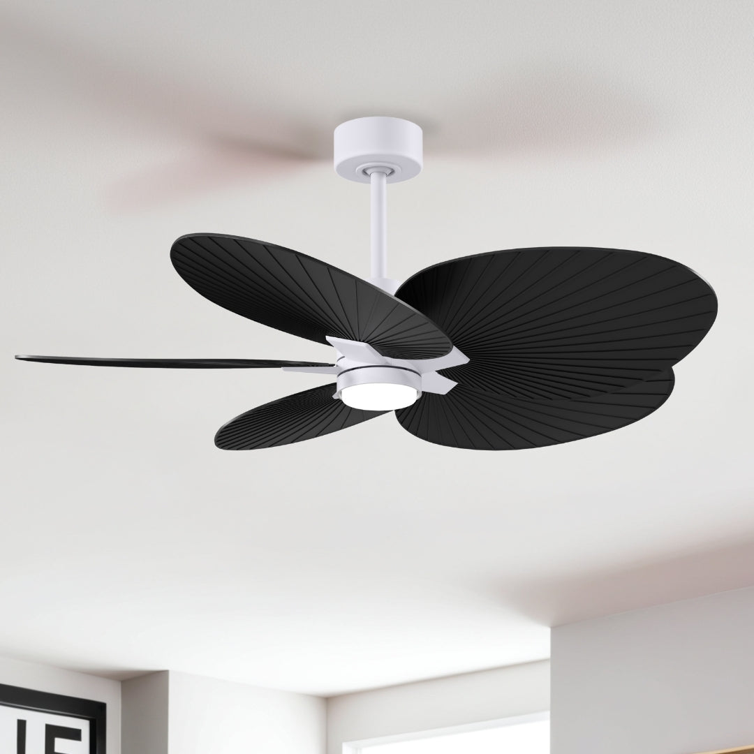 Matthews Fan Company-AKTPLK-MWH-BK|ALT|4