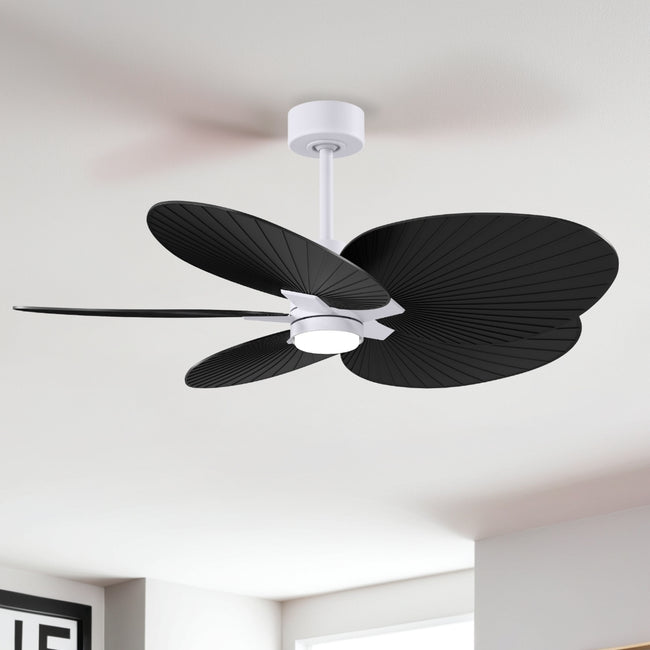 Matthews Fan Company-AKTPLK-MWH-BK|ALT|4
