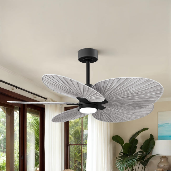 Matthews Fan Company-AKTPLK-BK-BW|ALT|4