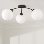 Capital Lighting-257131BI-557|ALT|1
