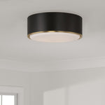 Capital Lighting-254831RK|ALT|2