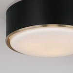 Capital Lighting-254831RK|ALT|3