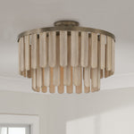 Capital Lighting-255611DR|ALT|4