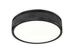 Z-Lite-1013F12-MB-LED|ALT|2