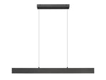 Z-Lite-1016-45L-MB-LED|ALT|1