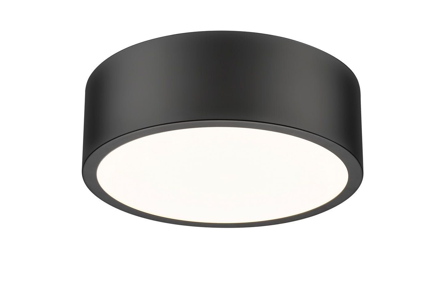 Z-Lite-1017F12-MB-LED|ALT|2