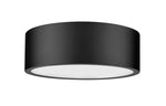 Z-Lite-1017F12-MB-LED|ALT|3