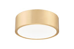 Z-Lite-1017F12-MGLD-LED|ALT|2