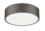 Z-Lite-1017F16-BRZ-LED|ALT|2