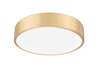 Z-Lite-1017F20-MGLD-LED|ALT|2