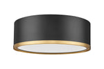Z-Lite-1018F12-MB-MGLD-LED|ALT|3