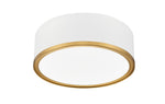 Z-Lite-1018F12-MW-MGLD-LED|ALT|2