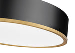 Z-Lite-1018F20-MB-MGLD-LED|ALT|4