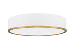 Z-Lite-1018F20-MW-MGLD-LED|ALT|3