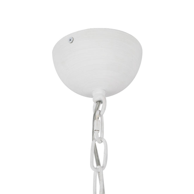 Alora-CH558427AWOP|ALT|1