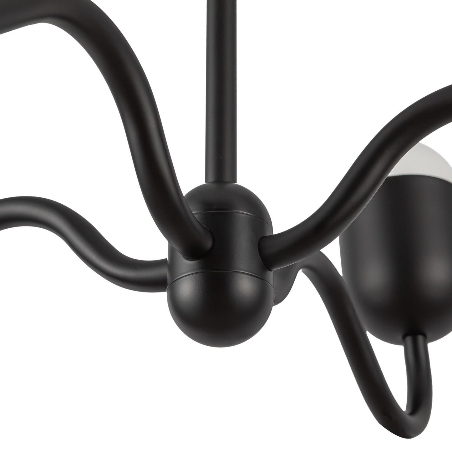 Alora-CH558427MBOP|ALT|2