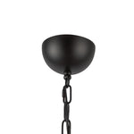 Alora-CH558427MBOP|ALT|4