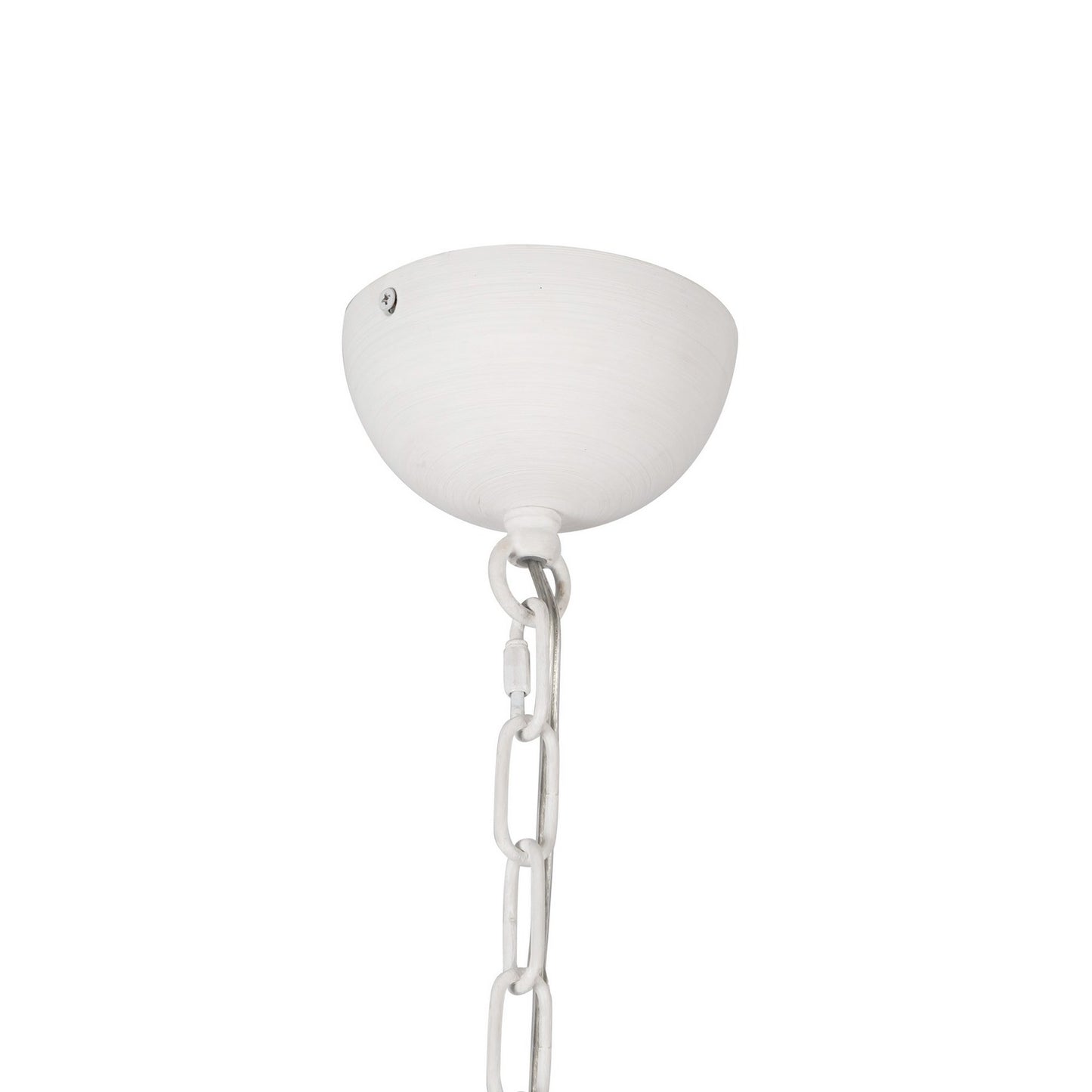 Alora-CH558439AWOP|ALT|2