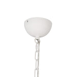 Alora-CH558439AWOP|ALT|2