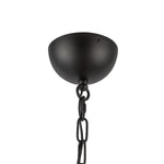 Alora-CH558439MBOP|ALT|4
