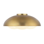 Alora-FM495316BGOP|ALT|1