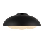 Alora-FM495316MBOP|ALT|1