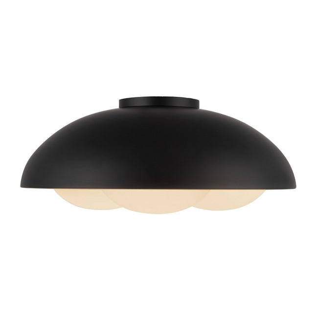 Alora-FM495316MBOP|ALT|1