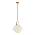 Alora-PD507216WHOP|ALT|1