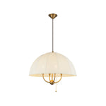 Alora-PD661424BG|ALT|1