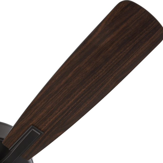 Quorum-4525-03159|ALT|6