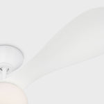 Visual Comfort Fan-3DPSM58RZWD|ALT|5