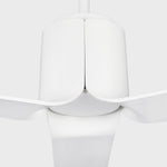 Visual Comfort Fan-3PESM52RZWD|ALT|6