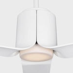 Visual Comfort Fan-3PESM66RZWD|ALT|7