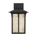 Generation Lighting-8652701CG-12|ALT|1
