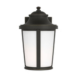 Generation Lighting-GLO1141ANBZ|ALT|2