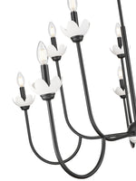 Z-Lite-352-10MB|ALT|3