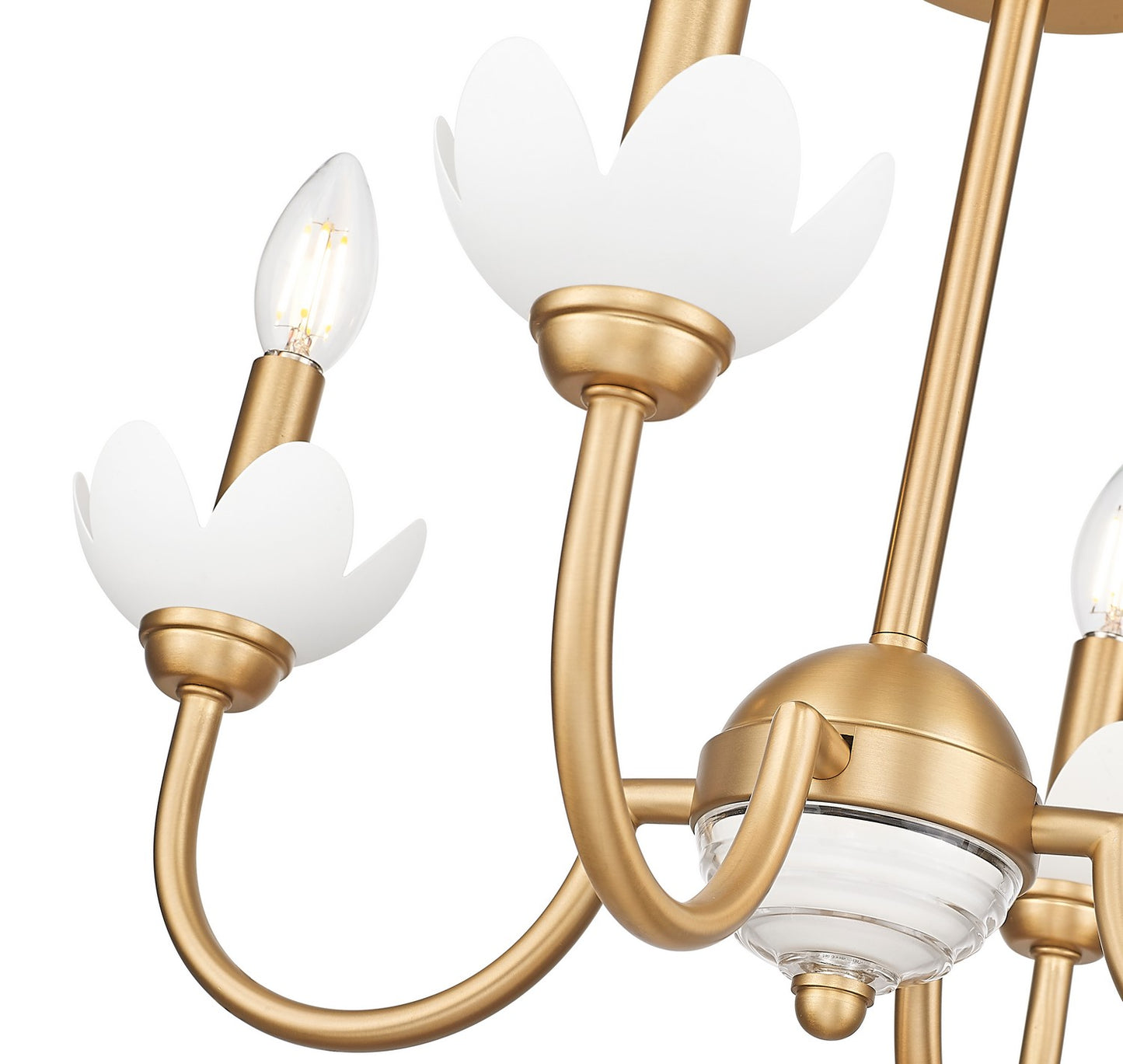 Z-Lite-352-4SF-MGLD|ALT|3