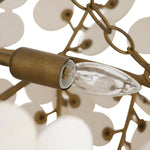 Arteriors-DLS14|ALT|6