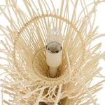 Arteriors-DLS15|ALT|5