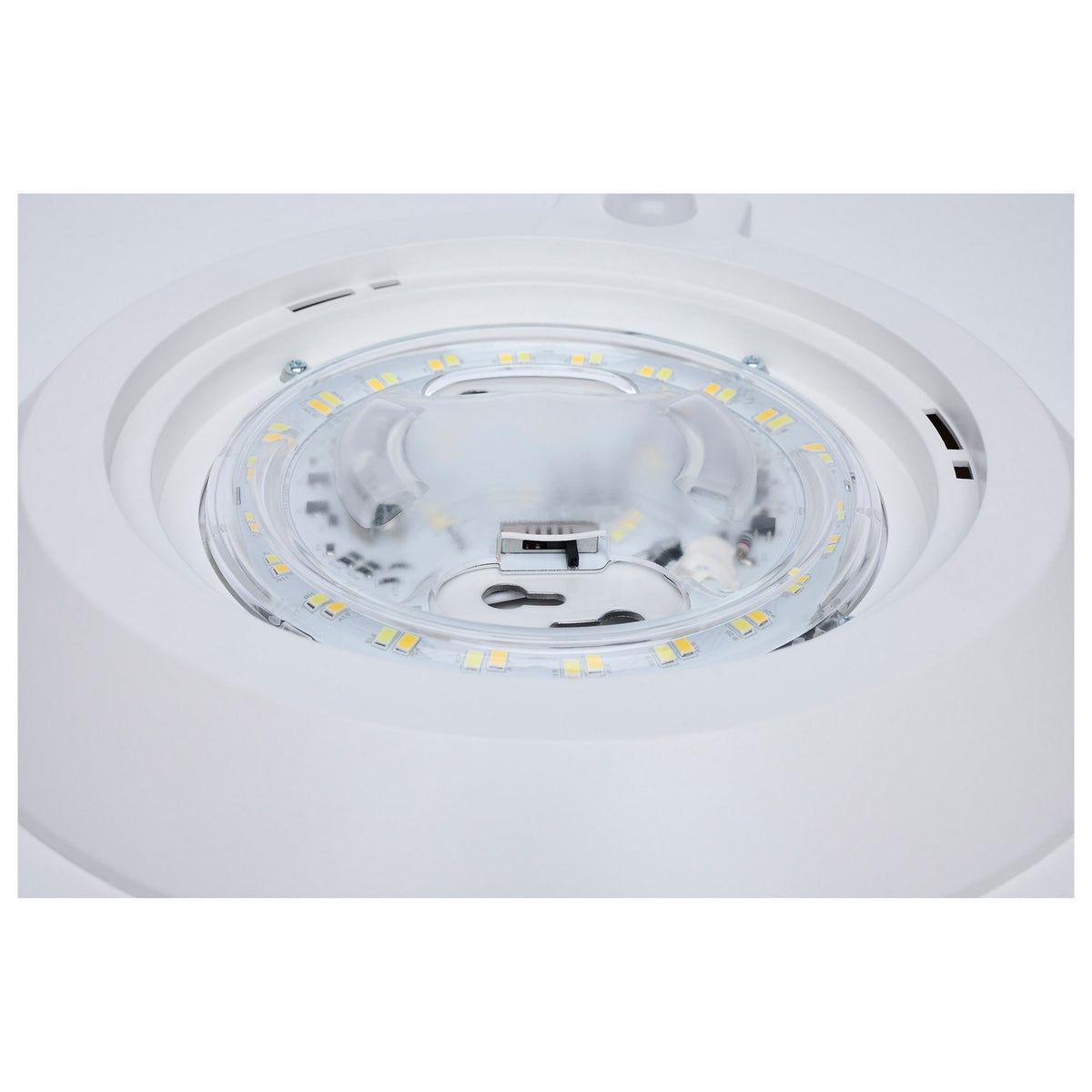 Nuvo Lighting-62-1821R1|ALT|10