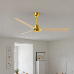 Matthews Fan Company-AK-BRBR-LM-56|ALT|3