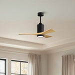 Matthews Fan Company-PA3-BK-LM-42|ALT|5