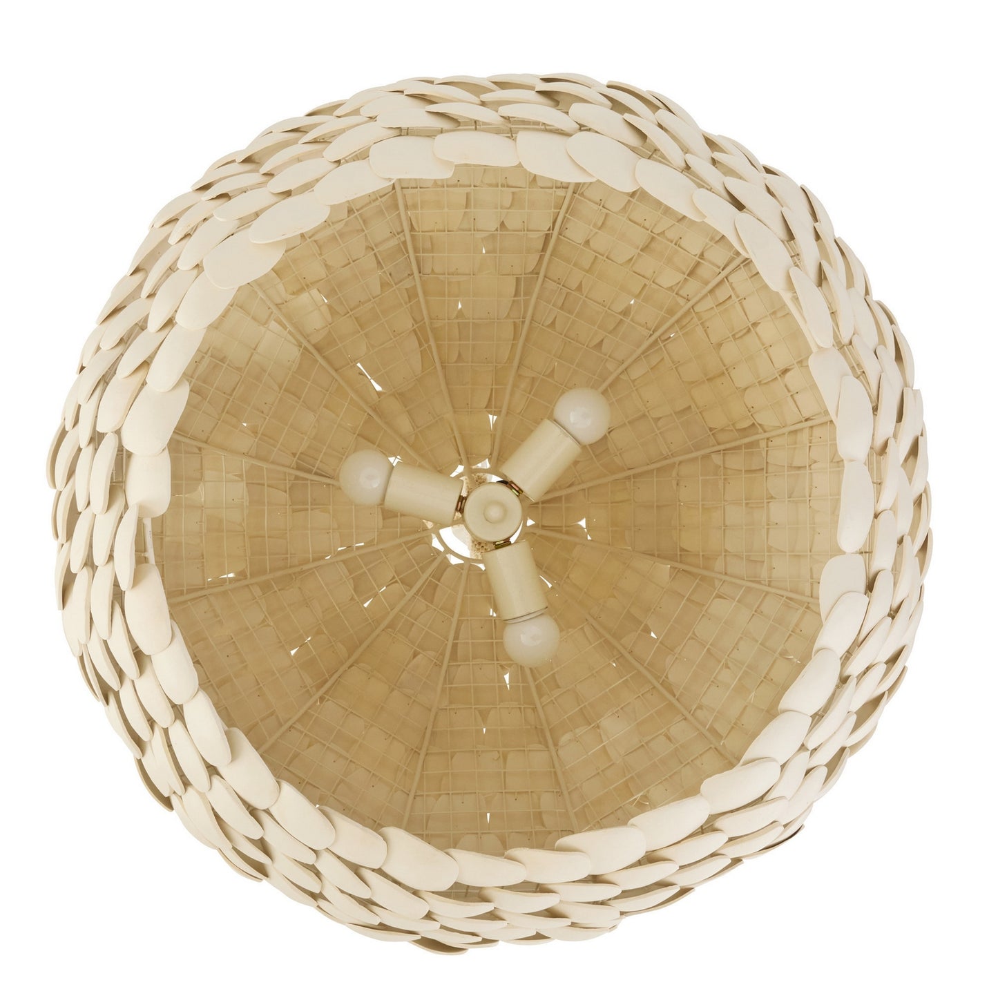 Arteriors-DMS24|ALT|8