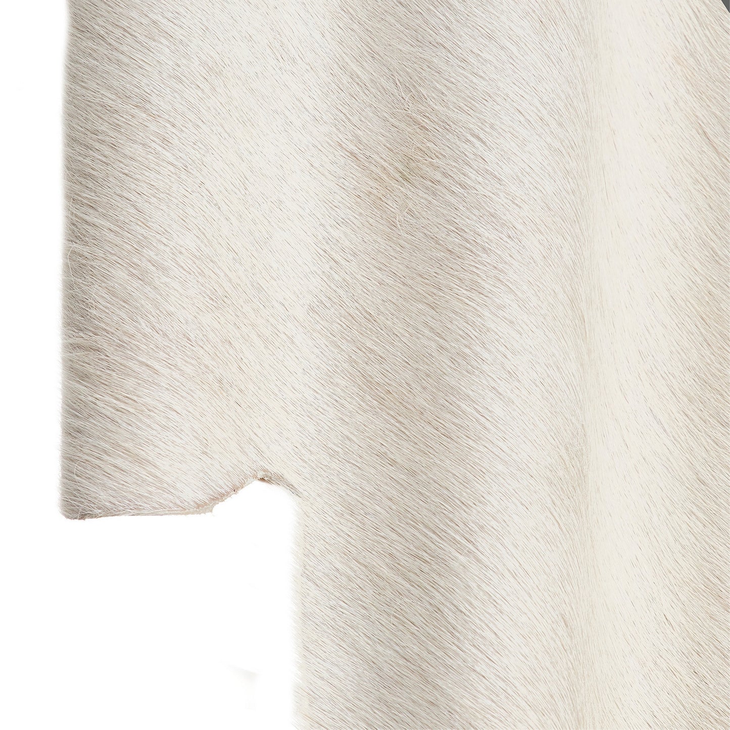 Arteriors-DWI29|ALT|5