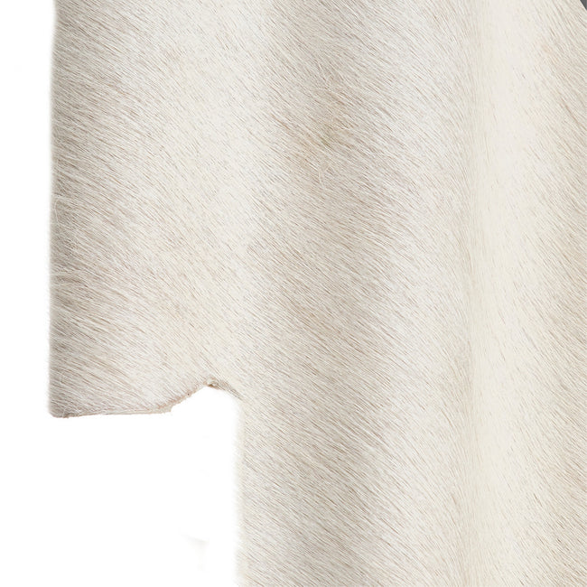 Arteriors-DWI29|ALT|5